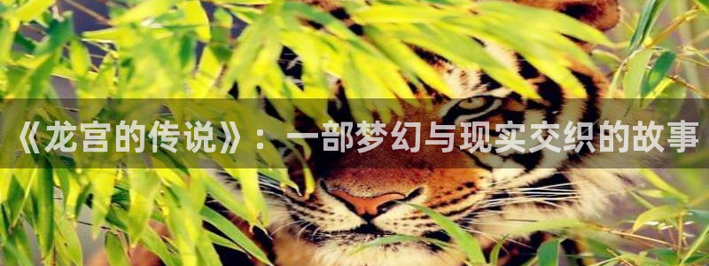 www.漫漫漫画